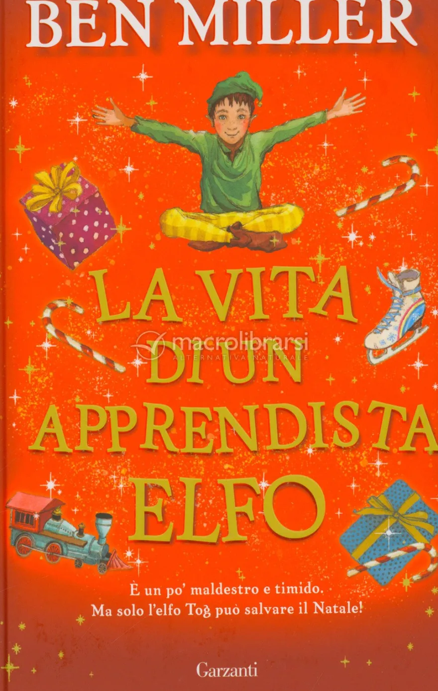 La Vita di un Apprendista Elfo