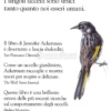 La Vita Segreta degli Uccelli