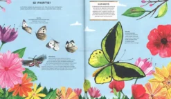 La Vita Segreta delle Farfalle