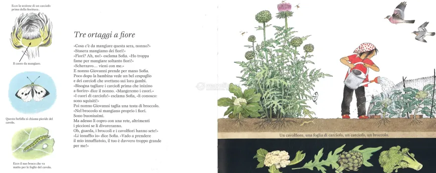 La Vita Segreta dell'Orto