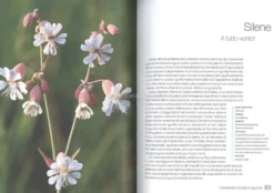La Vita Sessuale dei Fiori