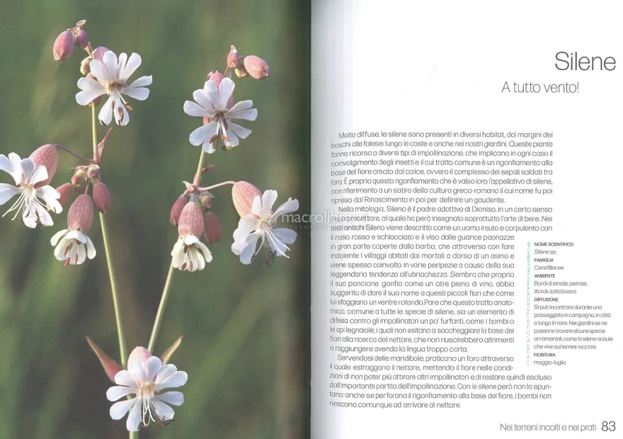 La Vita Sessuale dei Fiori