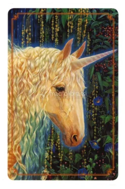 Le Carte degli Unicorni