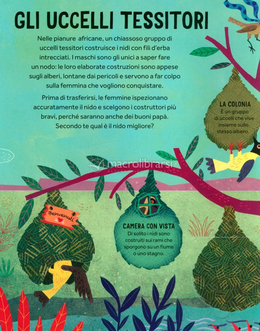 Le Case Pop-up degli Animali