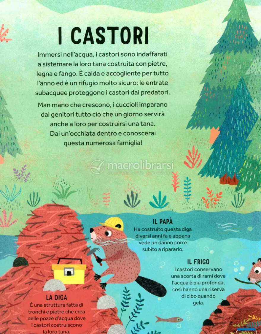 Le Case Pop-up degli Animali