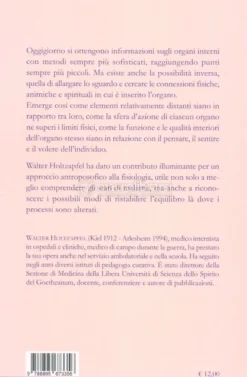 Le Connessioni Spirituali di Fegato, Polmone, Rene, Cuore