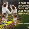 Le Cose più Importanti che il Mio Cane mi ha Insegnato