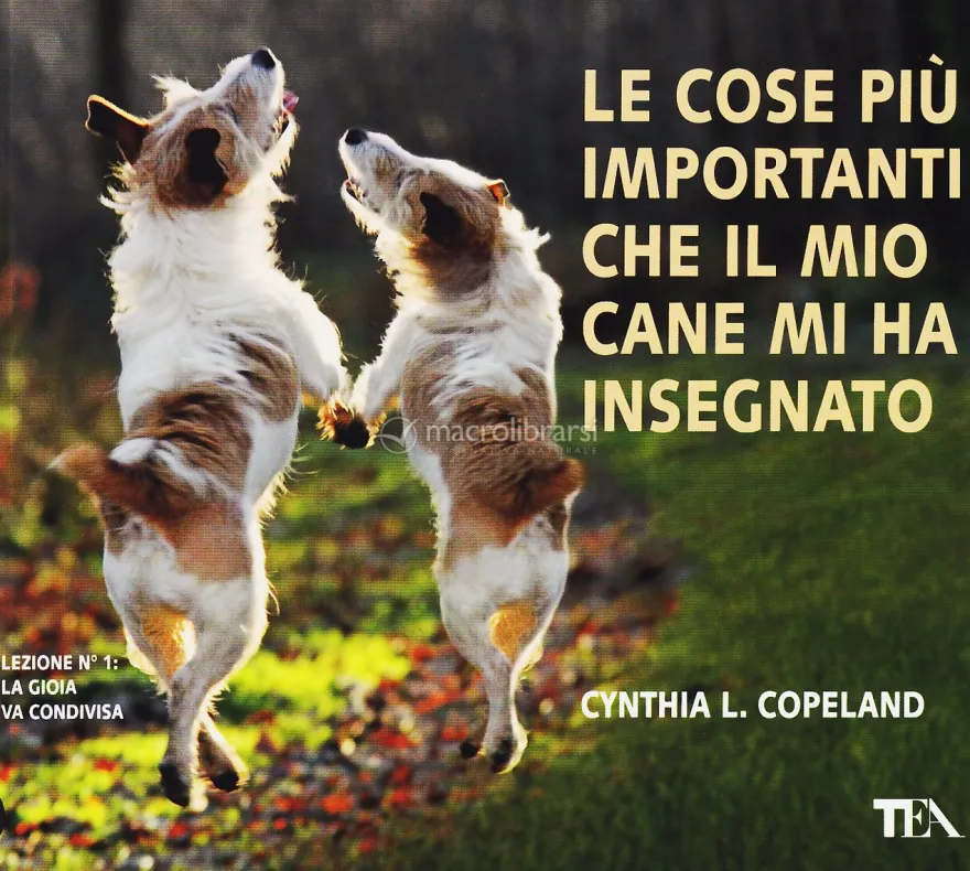Le Cose più Importanti che il Mio Cane mi ha Insegnato