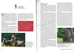 L'Educazione del Cane