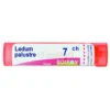 Ledum Palustre 7CH Granuli Boiron