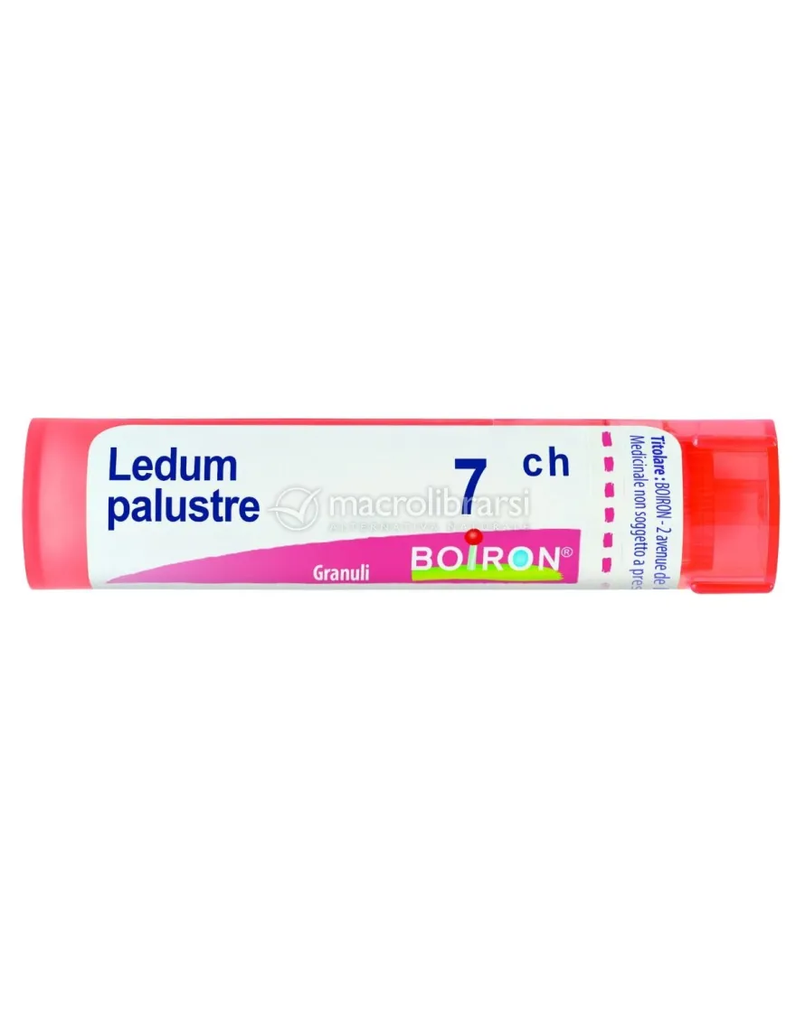 Ledum Palustre 7CH Granuli Boiron