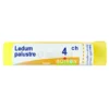 Ledum Palustre 4CH Granuli Boiron