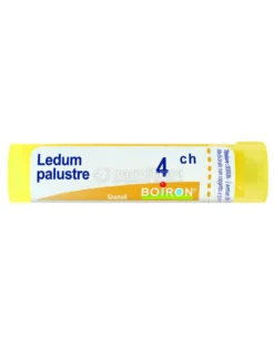Ledum Palustre 4CH Granuli Boiron