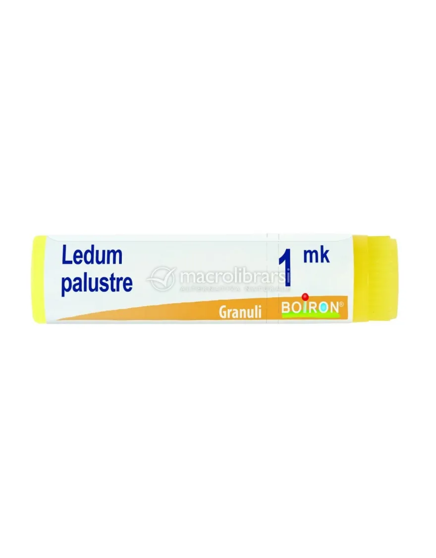 Ledum Palustre MK Globuli Monodose Boiron