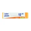 Ledum Palustre XMK Globuli Monodose Boiron