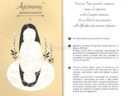 Le Emozioni Sono Bellezza - Libro