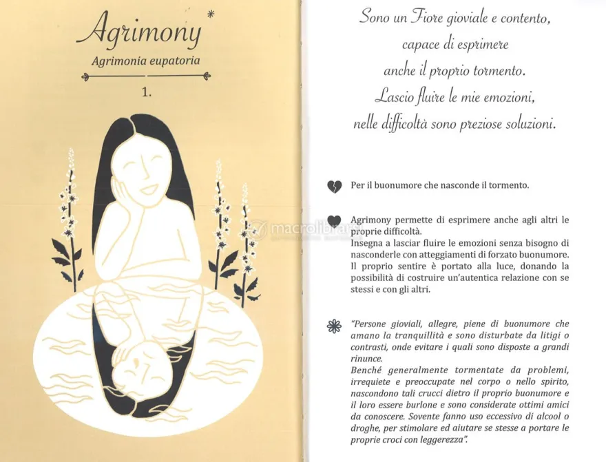 Le Emozioni Sono Bellezza - Libro