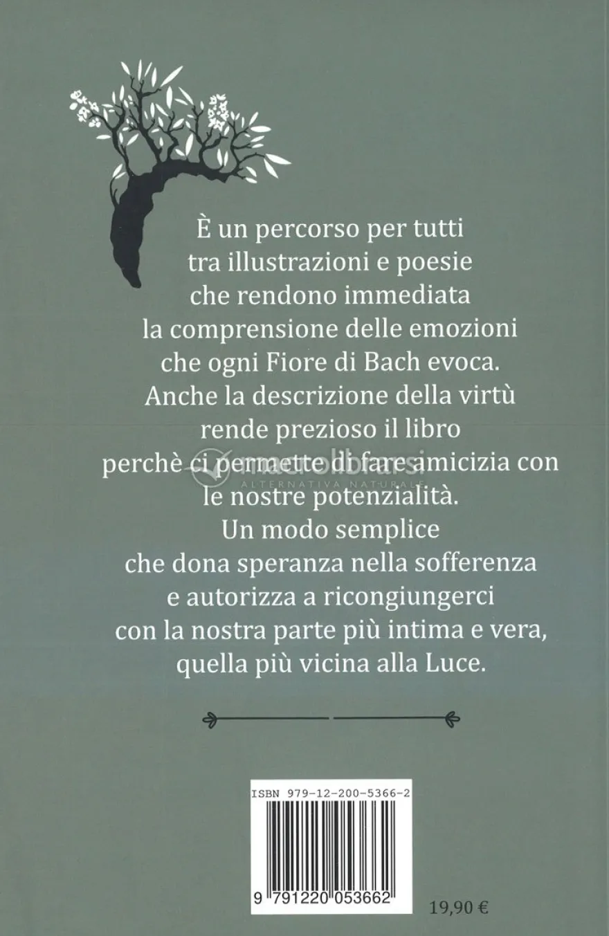Le Emozioni Sono Bellezza - Libro