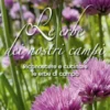 Le Erbe dei Nostri Campi