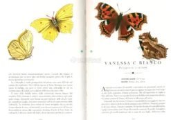Le Farfalle - Il Libro che si Trasforma in un'Opera d'Arte