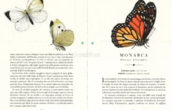 Le Farfalle - Il Libro che si Trasforma in un'Opera d'Arte