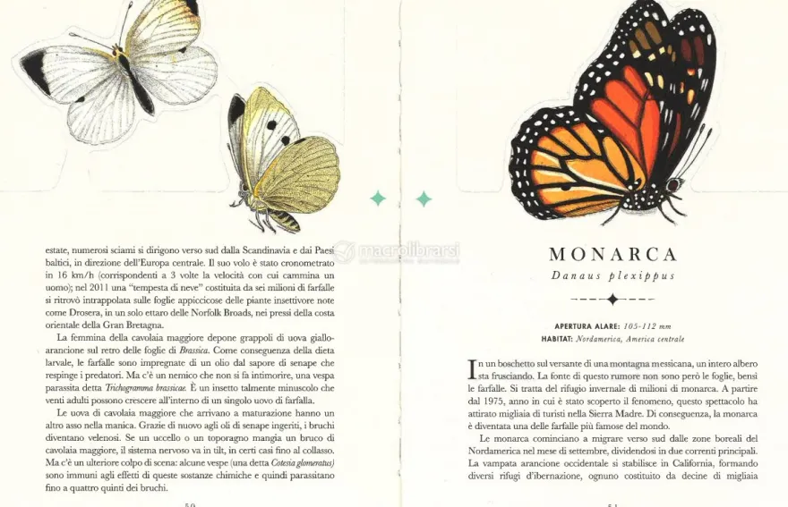 Le Farfalle - Il Libro che si Trasforma in un'Opera d'Arte
