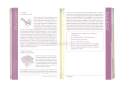 Leggere la Pelle del Viso