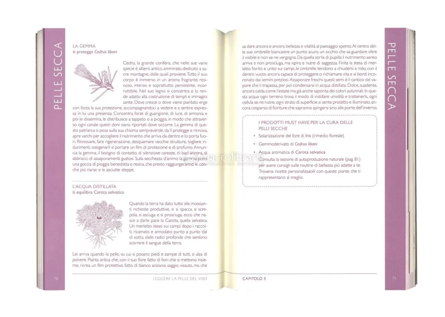 Leggere la Pelle del Viso