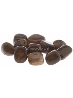 Legno Fossile - Pietre Burattate