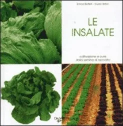 Le Insalate