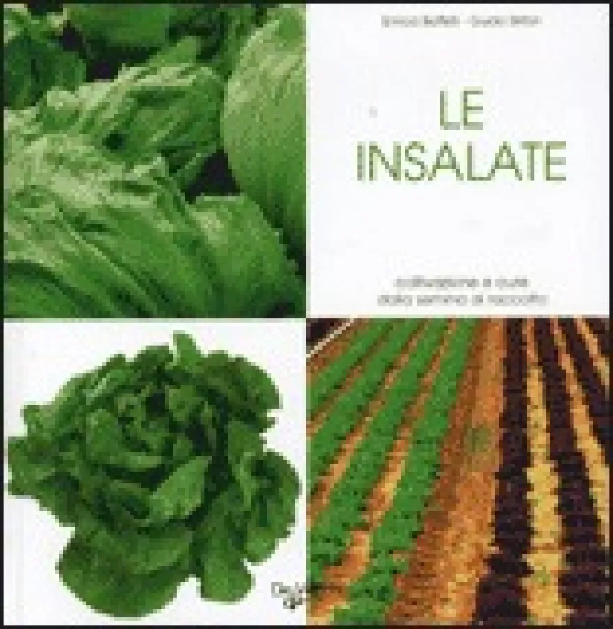 Le Insalate