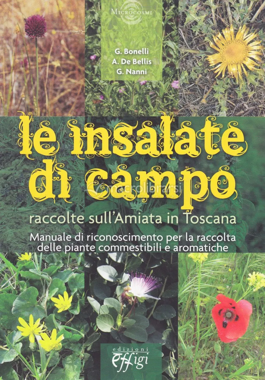 Le Insalate di Campo - Raccolte sull'Amiata in Toscana