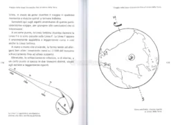Le Linee Sincroniche