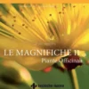 Le Magnifiche 11 Piante Officinali