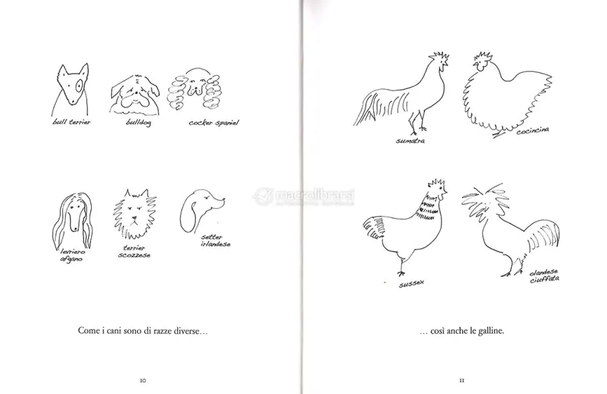 Le Mie Galline e Io
