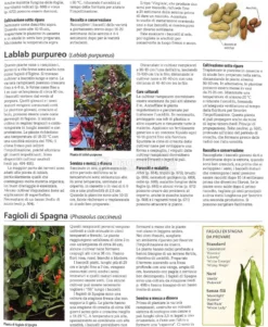L'Enciclopedia del Verde
