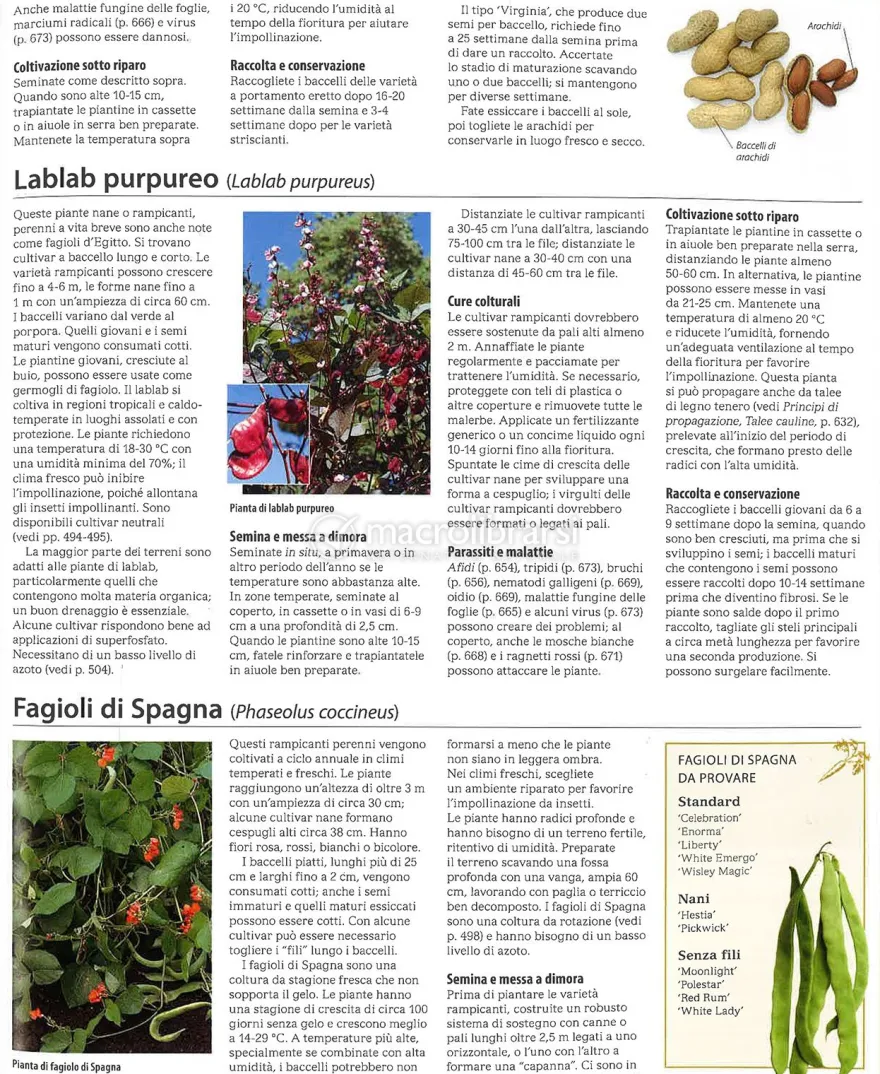 L'Enciclopedia del Verde