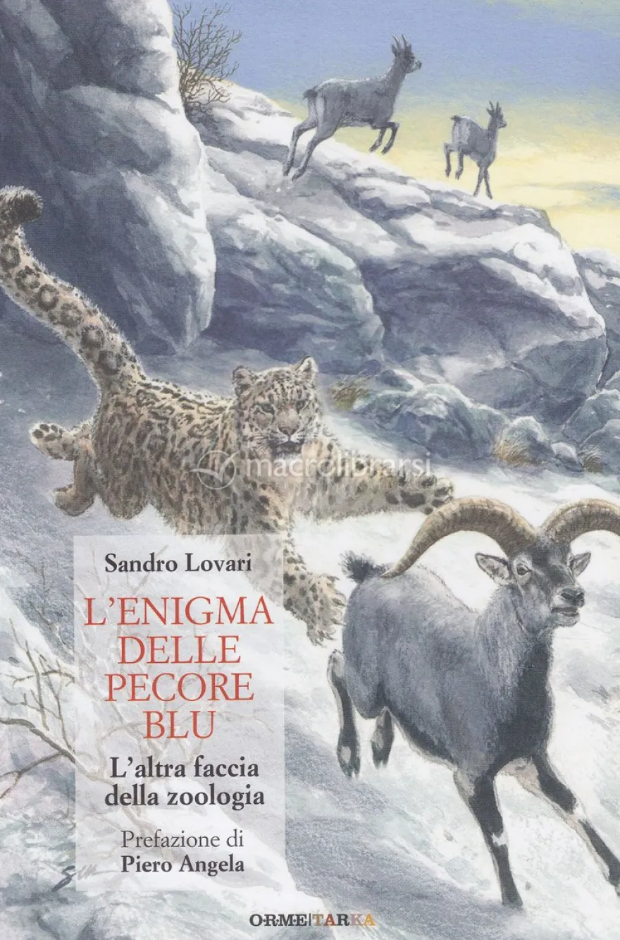 L'enigma delle Pecore Blu