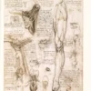 Leonardo - Il Genio nei Disegni
