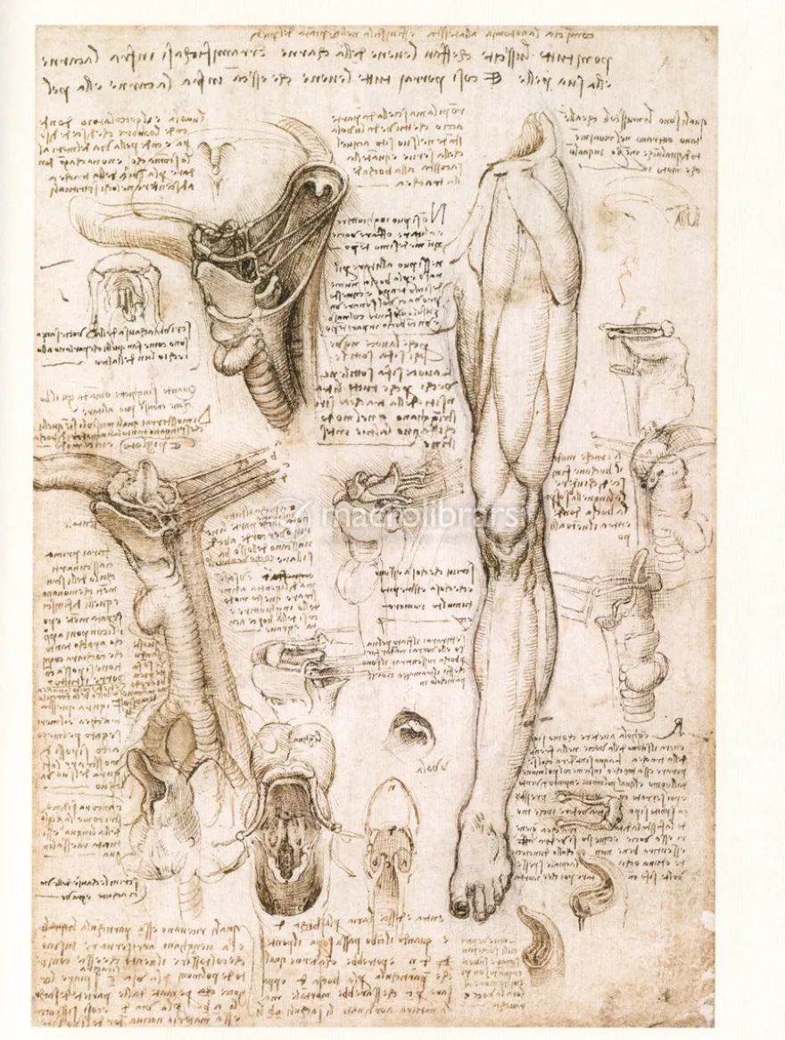 Leonardo - Il Genio nei Disegni