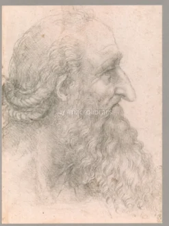 Leonardo - Il Genio nei Disegni
