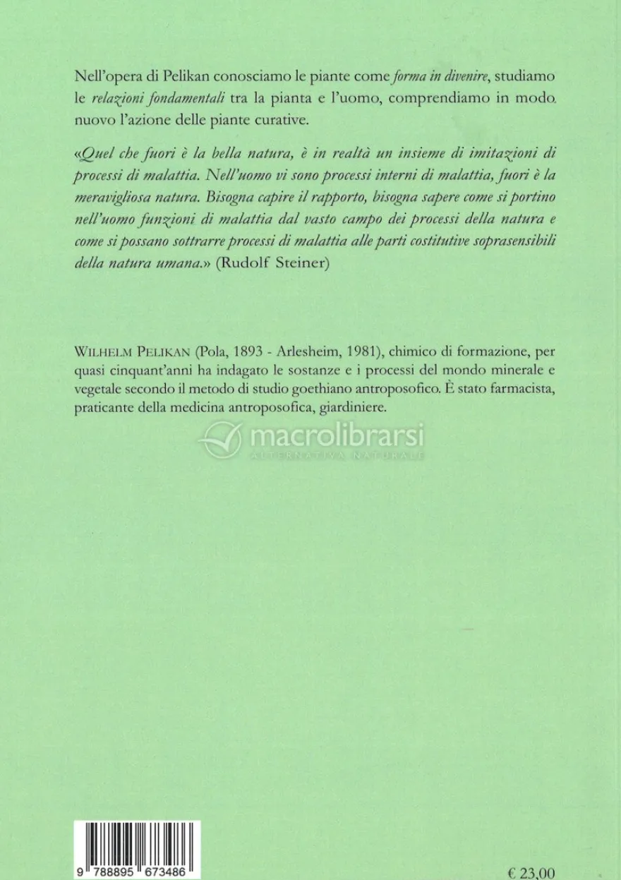 Le Piante Medicinali - Vol. II
