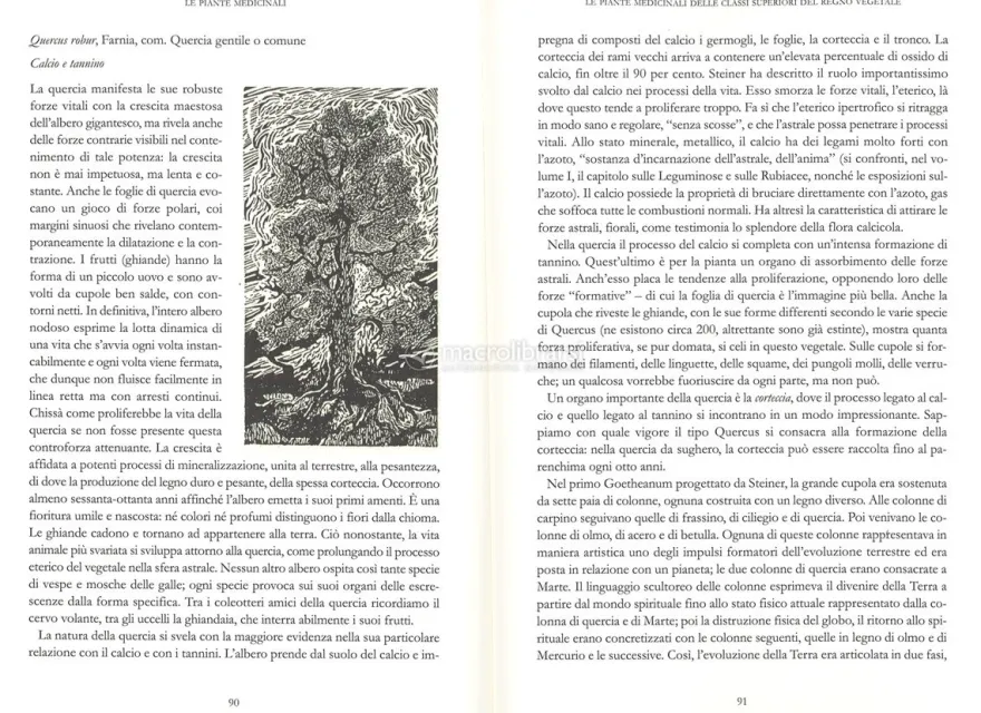 Le Piante Medicinali - Vol. II