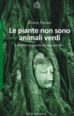 Le Piante Non Sono Animali Verdi