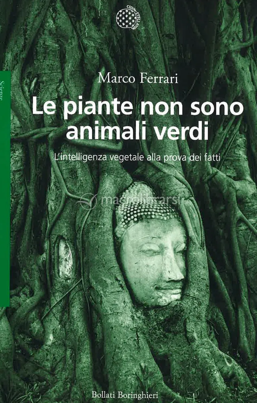 Le Piante Non Sono Animali Verdi