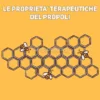 Le Proprietà Terapeutiche del Propoli
