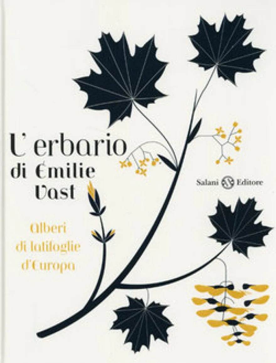 L'erbario. Alberi di Latifoglie d'Europa