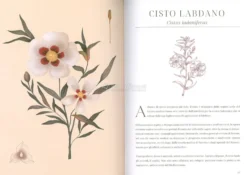 L'Erbario dei Profumi