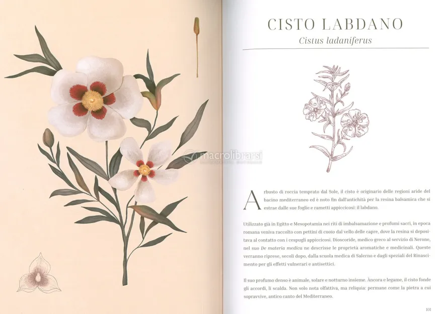 L'Erbario dei Profumi
