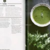 Le Ricette delle Streghe